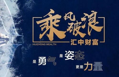 我乘的浪潮,我的非凡旅程回顾