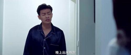 替嫁老公有点帅,腹黑老公的甜蜜复仇之旅