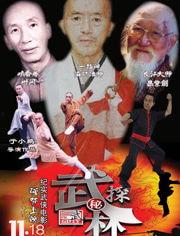 武林探秘,探寻古代江湖传奇