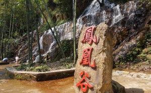 凤凰谷,自然奇观与人文历史的交融之旅